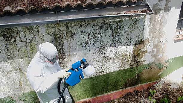 Trusted Mold Remediation service in Christiana, TN - Cheap Mold Removal